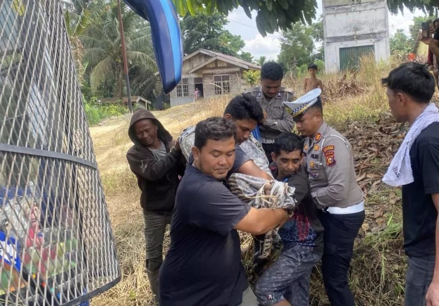 Tragis! Bus PMH Versus Truk di Jalintim Pelalawan, Empat Tewas dan Dua Luka-luka