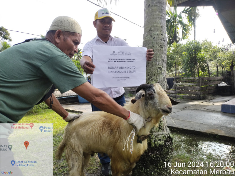 Dukung Peningkatan Ekomoni, PT. ITA Beli Puluhan Sapi dan Kambing Qurban Dari Warga Sekitar Operasio