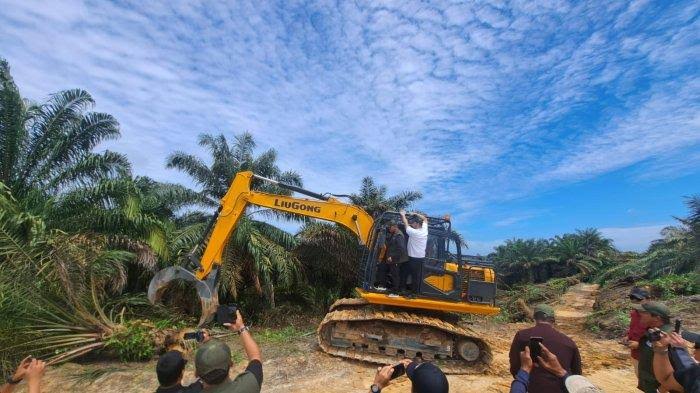 Perambahan TNTN, Pengamat Hukum: Harus Diproses