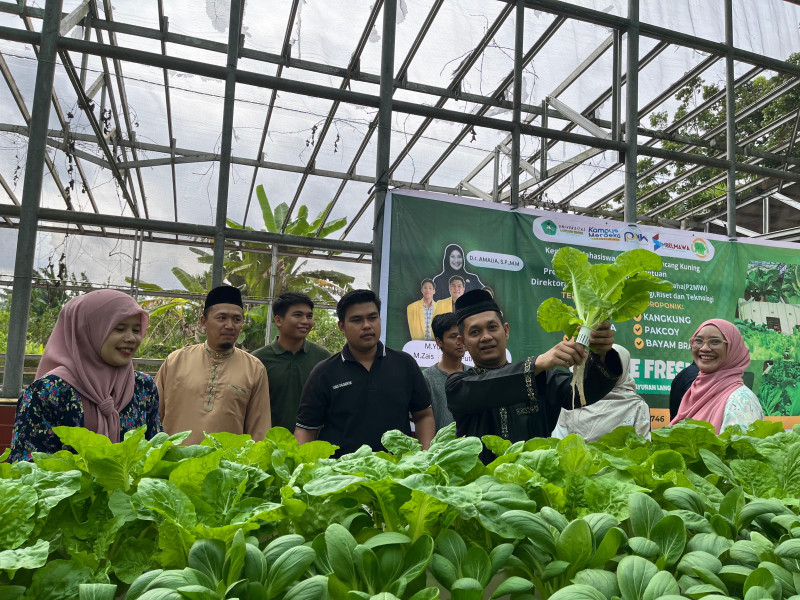 Dukung Swasembada Pangan Riau, Mahasiswa Fakultas Pertanian Unilak Panen Sayur Hydroponik