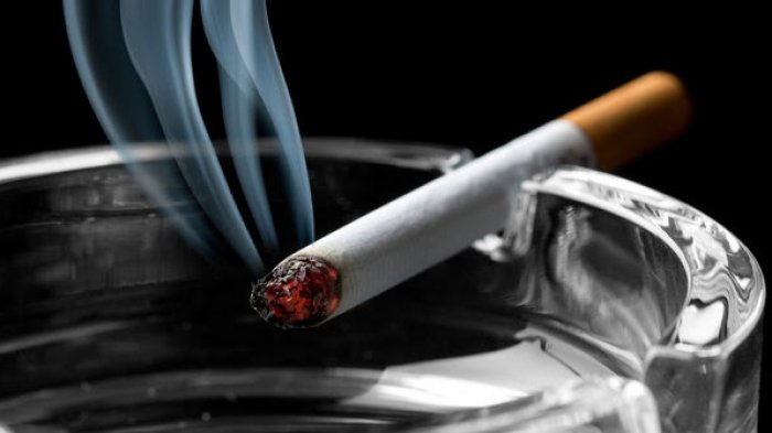 Makanan yang Ampuh Hilangkan Nikotin dari Tubuh Perokok