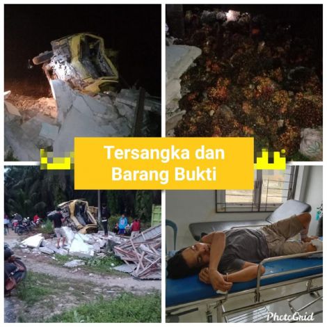 Truk Sawit Milik Anggota DPRD Riau Dibawa Kabur Pencuri