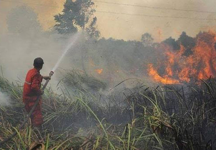 Sumatra Dikepung 2.461 Hotspot, Titik Api Masih Bermunculan di Riau