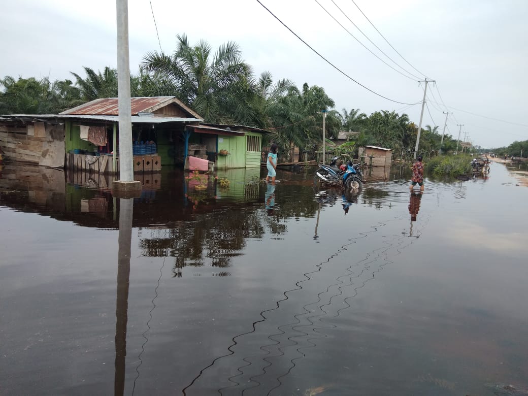 Aktifitas Warga Lumpuh, Jalan Poros Dua Dusun di Bandar Jaya Tergenang Air