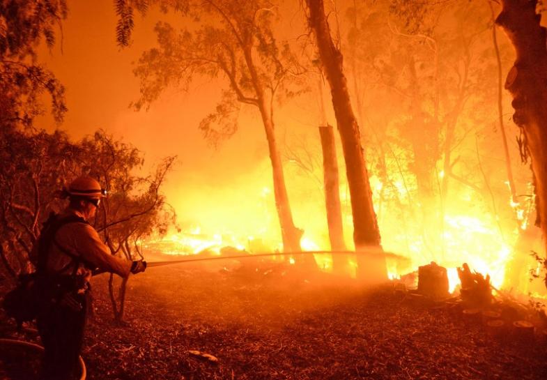 Kebakaran California, Jumlah Orang Hilang Tembus 600