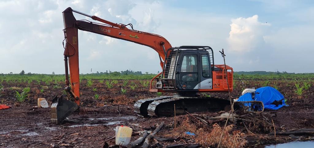 Ditrekrimsus Polda Riau Tangkap  Pelaku Penggarap 60 Hektar Lahan HPT