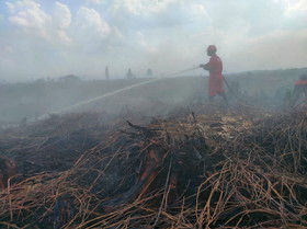 Pemprov Riau Tetapkan Status Siaga Darurat Karhutla 2024