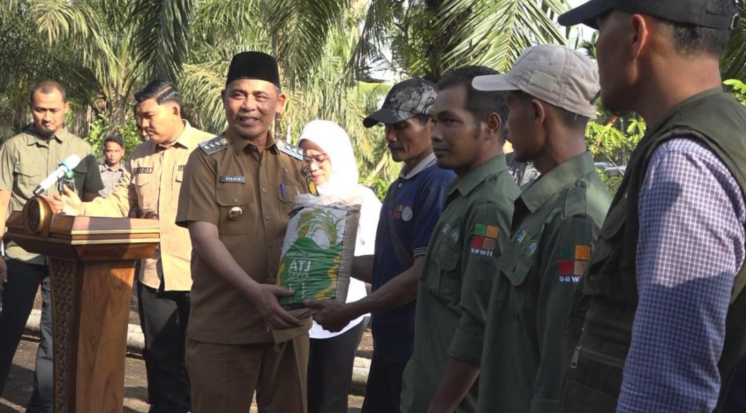 Terobosan Terbaru Pemkab Inhil, Tanam Perdana Padi Gogo di Lahan Program Peremajaan Sawit Rakyat