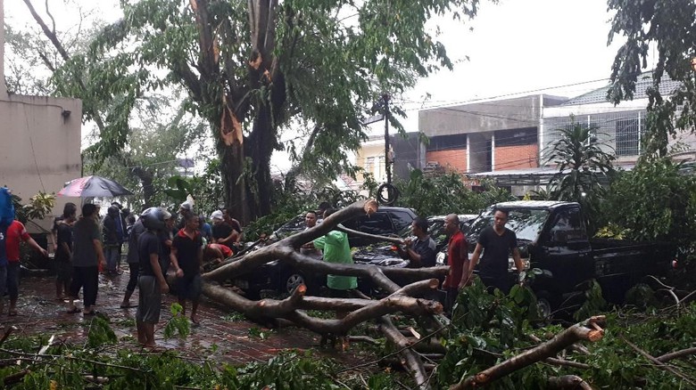 Puting Beliung di Bogor, 6 Kendaraan Ringsek Tertimpa Pohon