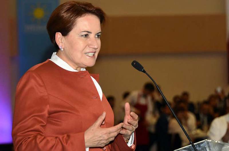 Gebrakan 'Serigala Betina' Penantang Erdogan