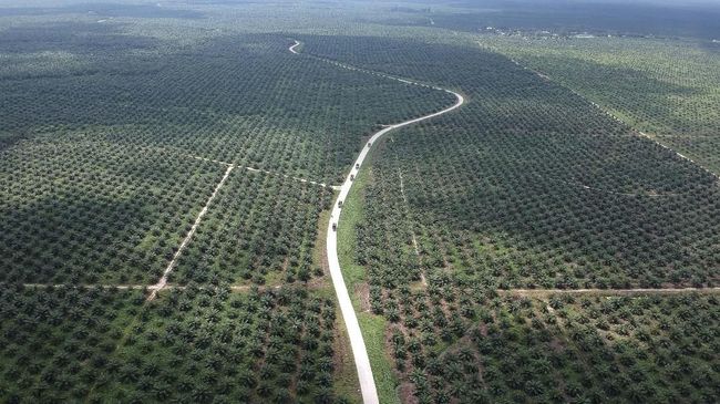 Pemerintah: Larangan Buka Data Pemilik HGU Demi Kekayaan RI