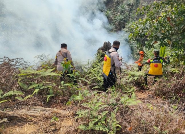 Dua Hektar Lahan Terbakar di Desa Cipang Kiri