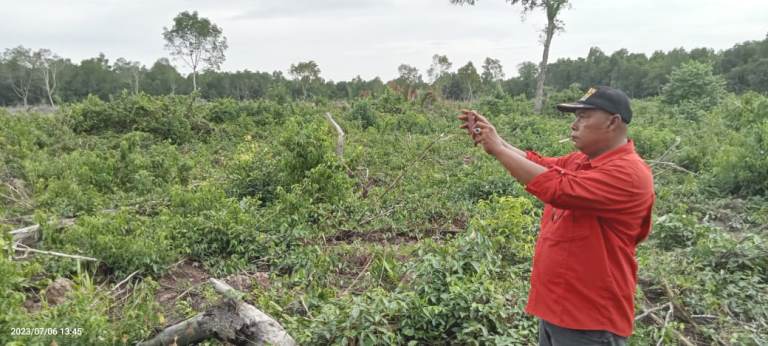 Mangrove di Babat,  12 Hektar Lahan Desa Penebal Diduga Hendak Dijadikan Kolam Udang Vaname