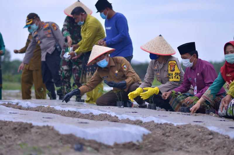 Wako Pekanbaru Apresiasi Kreasi Petani Lembah Sari Rumpes Sulap Ubi Jadi Dodol