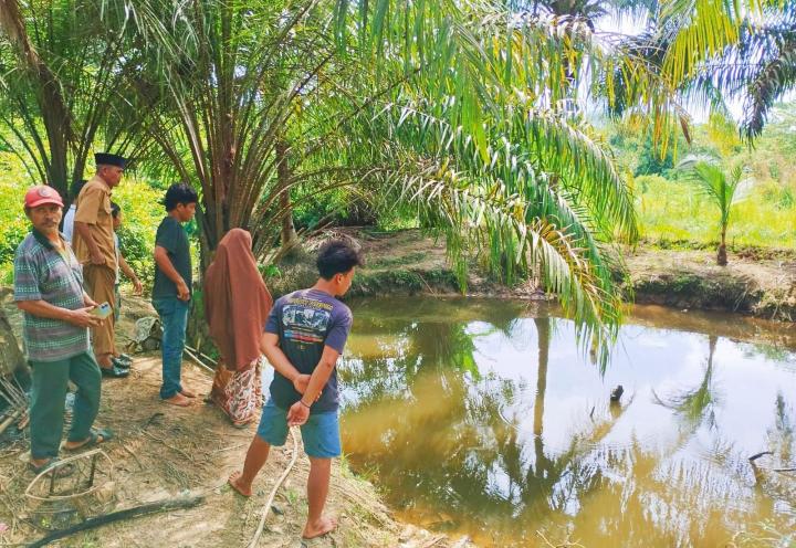 Orang Tua Pergi Ke Kebun, Balita Tewas Mengapung di Kolam