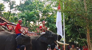 Sepasang Gajah di Kasang Kulim Kibarkan Bendera Merah Putih