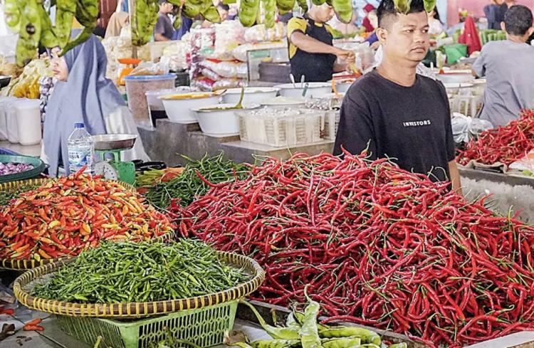 Cabai di Pekanbaru Tembus Rp110 Ribu per Kilogram