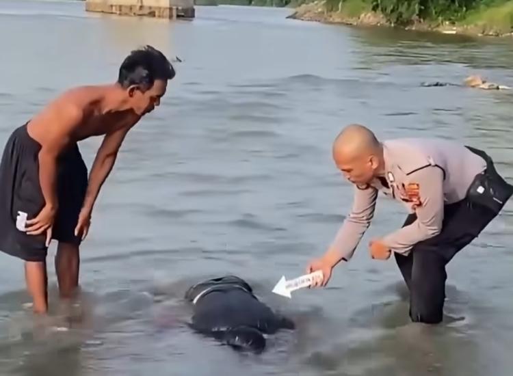 Mayat Pria Tersangkut Batu di Sungai Rokan, Polisi Bergerak Bongkar Misterinya