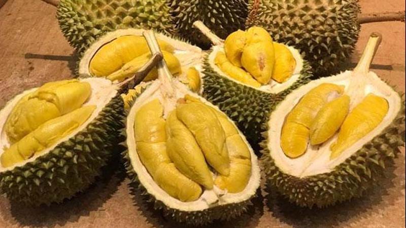 Pencuri Durian Ditembak Mati di Thailand