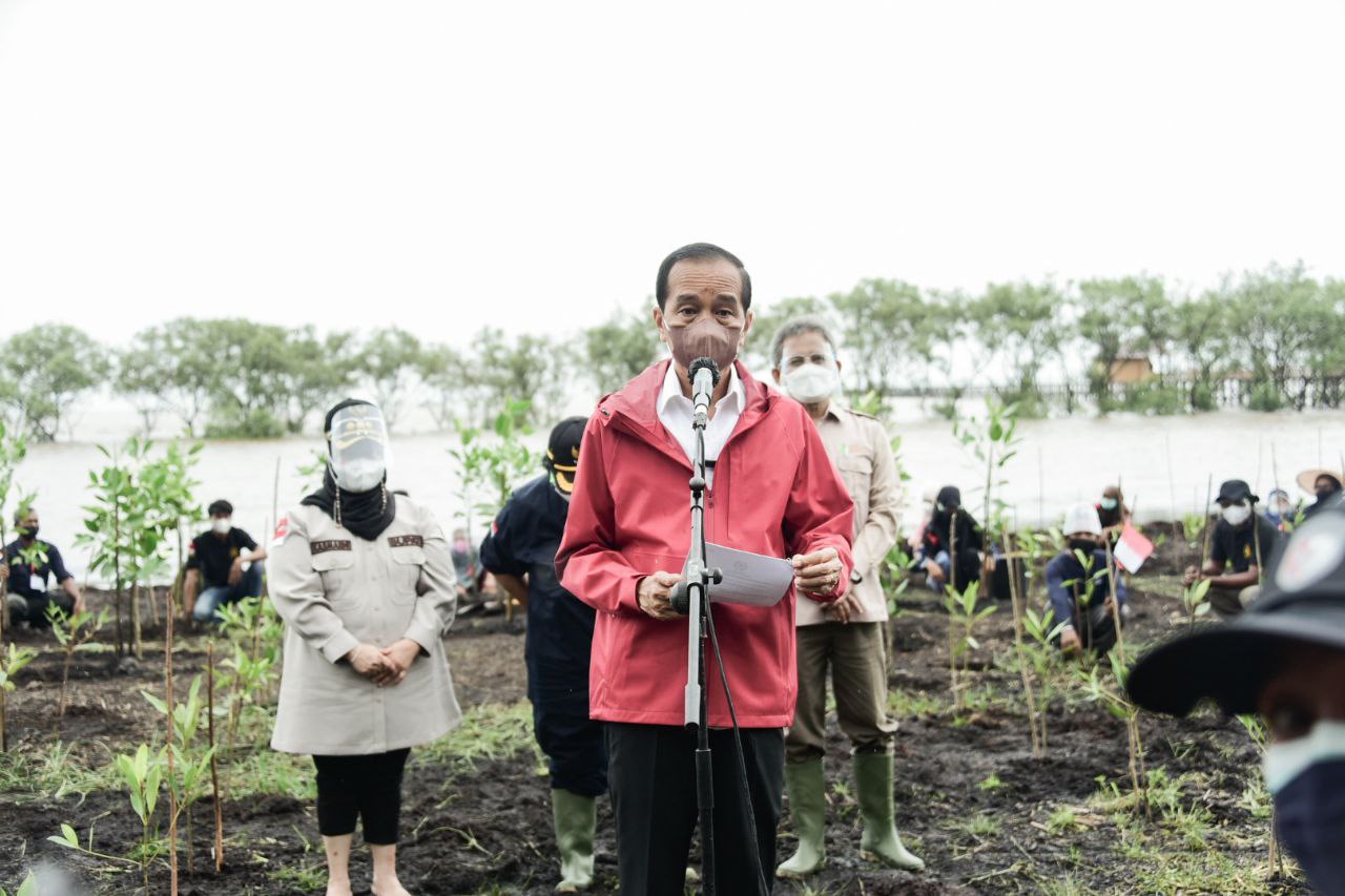 Usai Tanam Mangrove di Desa Muntai Barat, Presiden Langsung Bertolak ke Batam