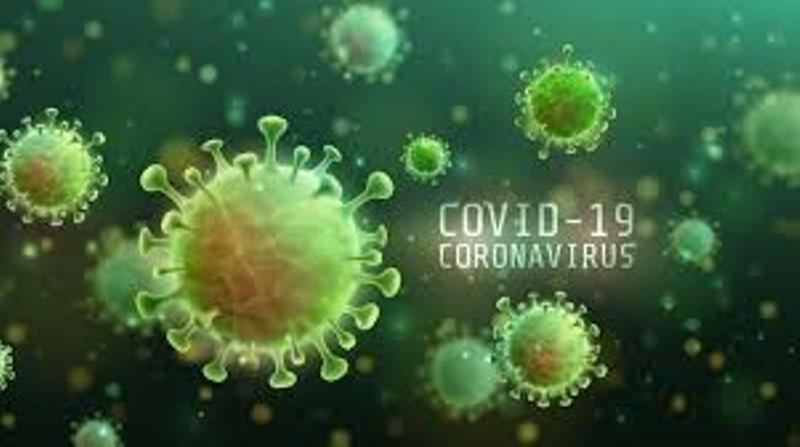 Hoaks atau Fakta: Dikabarkan Covid-19 Penuh Kebohongan, Ternyata Hanya Flu Biasa, Simak Kebenarannya
