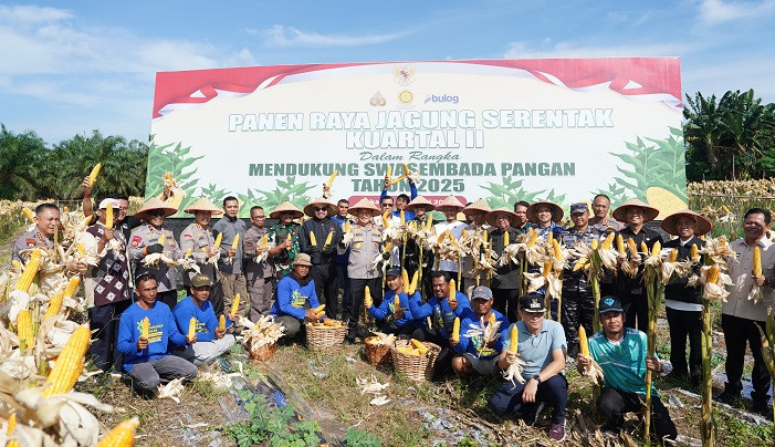 12 Ton Jagung Dipanen di Lahan Polresta Pekanbaru