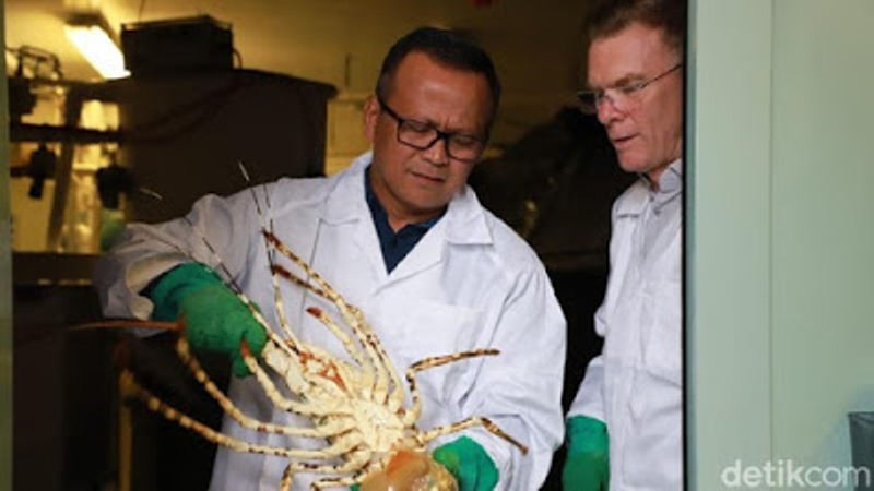 Menteri Edhy Prabowo Ditangkap KPK soal Benih Lobster, PD: Sudah Kami Ingatkan