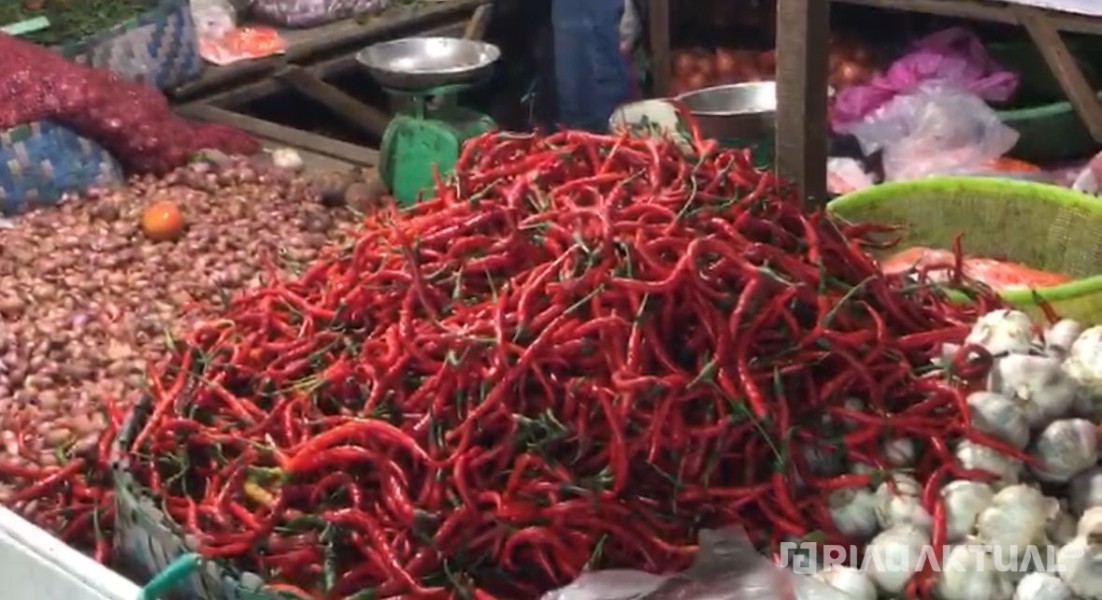 Dampak Bencana di Sumbar dan Sumut, Harga Cabai di Pekanbaru Tembus Rp120 Ribu per Kg