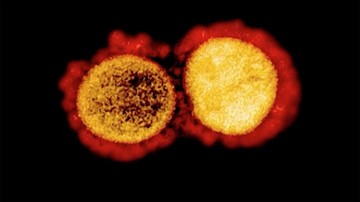Peneliti China Beberkan 30 Mutasi Baru Virus Corona