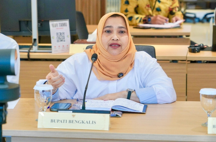 Bupati Usulkan Pembangunan RS Pratama Bukit Batu ke Menkes
