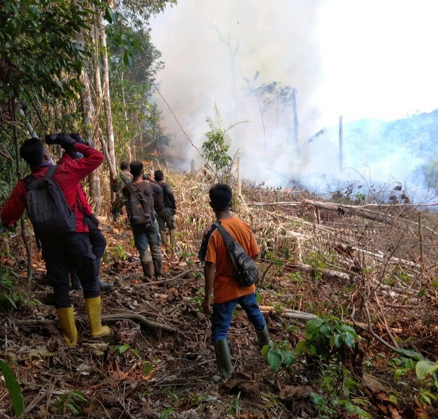 Taman Nasional Bukit Tigapuluh di Inhu Terbakar