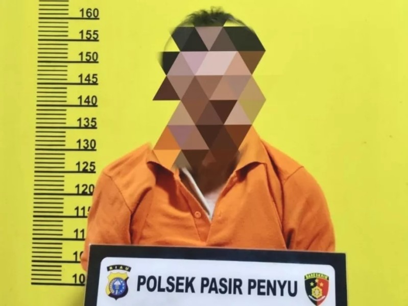 Biadab, Ayah Tiri di Inhu Diduga Cabuli Anak 1 Tahun