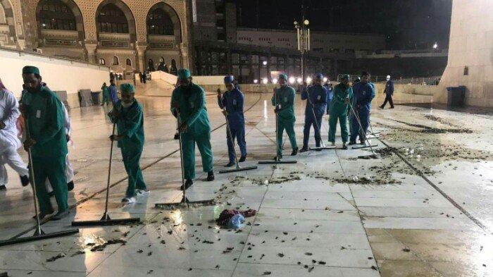 Serangga Serbu Masjidil Haram, Warga Mekah: Ini Belum Pernah Terjadi!