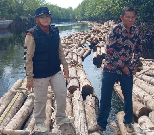 Bupati Afni Temukan Ribuan Kayu Diduga Ilegal Terapung di Sungai Rawa
